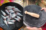 মাছ ধোয়ার পাএ+মাটির বাটনা পিষনি কম্বপ্যাক